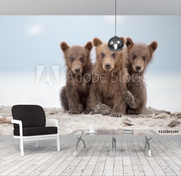 Picture of Portrait of an adorable little bears